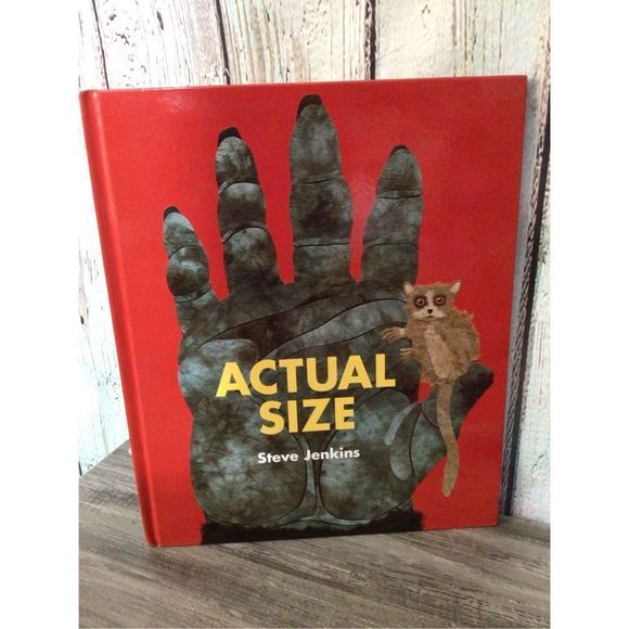 2004 Actual Size By Steve Jenkins 🕷️🐟 - Picture 1 of 10